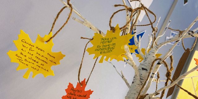 Grandir UK Gratitude Tree in Support Office